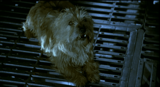 Sally growls at Hector when the robot crushes a chess piece in anger (screen cap courtesy Craig Spivey).